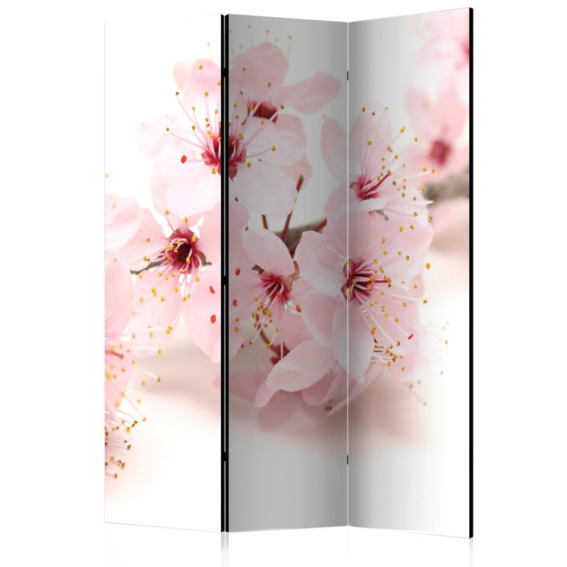 Mamer Solid Wood Folding Room Divider, 3