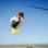 Penguin Big Breeze Windsock