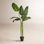 78'' Faux Banana Leaf Tree in Pot