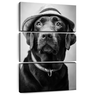 Brampt Black Labrador Boss