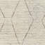 Camille Wool Geometric Area Rug in Cream/Brown/Gray-1279821898