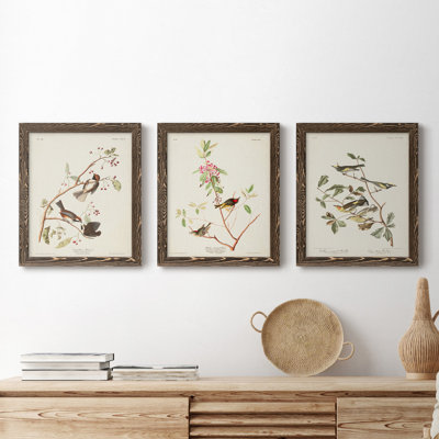 " Pl. 194 Canadian Titmouse " 2 - Pieces Painting Print