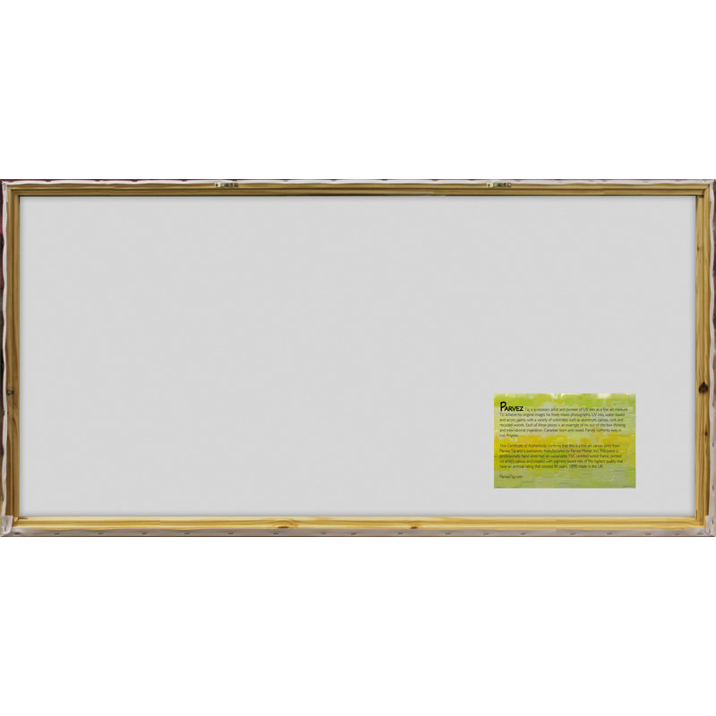 Parvez Taj - Wrapped Canvas Print, 76cm H x 152cm W