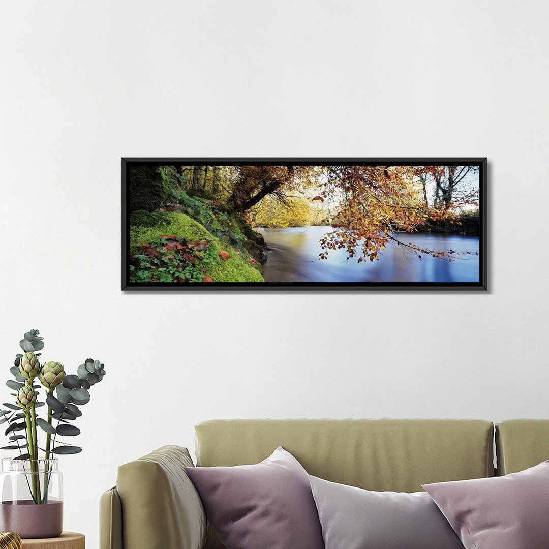 Panoramic Trees Along a River, River Dart, Bickleigh, Mid Devon, Devon, England Photographic Print on Wrapped Canvas Ebern Designs 