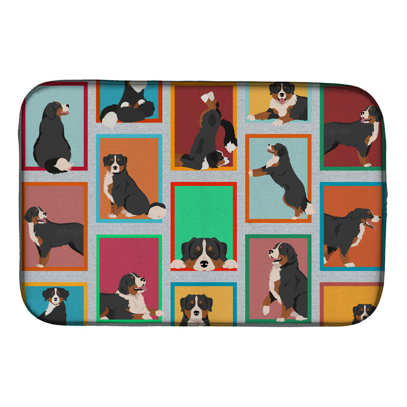 Drying Mat