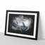 Bird On The Tree Paint Splash - Framed Print-56891331-56891334