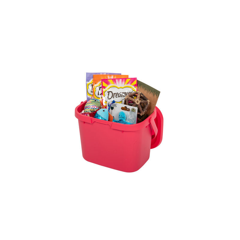 Plastic Manual Lift Waste Bin - 4.5L, Blush/Pomegranate/Metallic