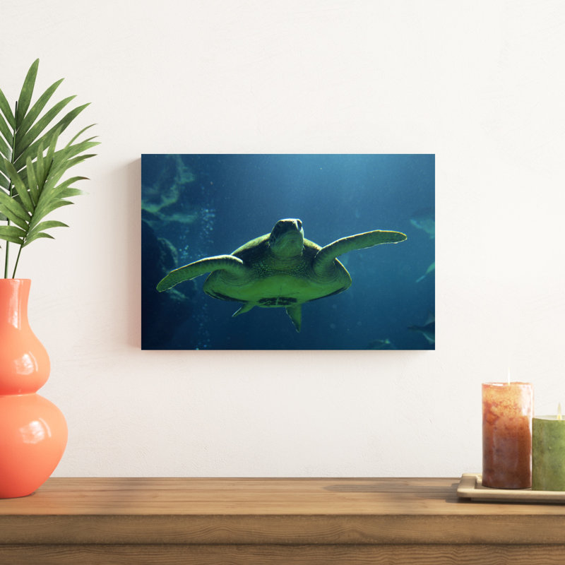 Tortues de mer Égée II, H 12 po x l 18 po x P 1 po