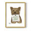«Love and Yorkshire Terrier», reproduction encadrée - bois massif-1212388161