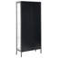 Jarus 2 -Door 4 -Shelf Storage Cabinet