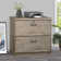 Summy 30.3'' Wide 2 -Drawer File Cabinet
