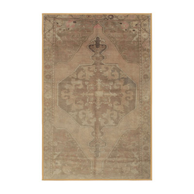 Oriental Indoor Rug