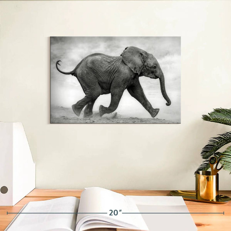 Bébé éléphant Brampt qui court, H 8 po x l 12 po