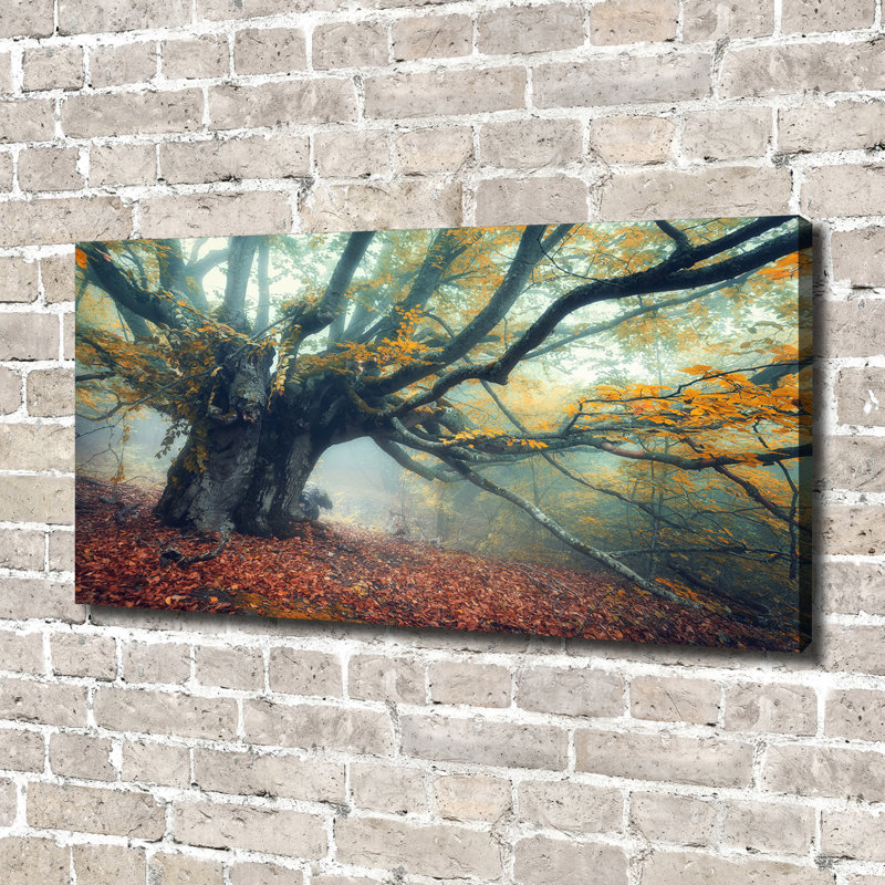 Old Tree - Wrapped Canvas Print, Canvas, 70cm H x 140cm W 