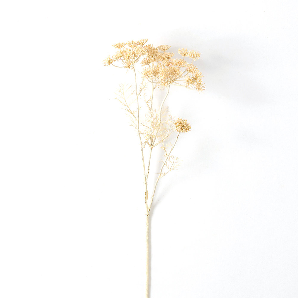 Baby's Breath Stems Primrue