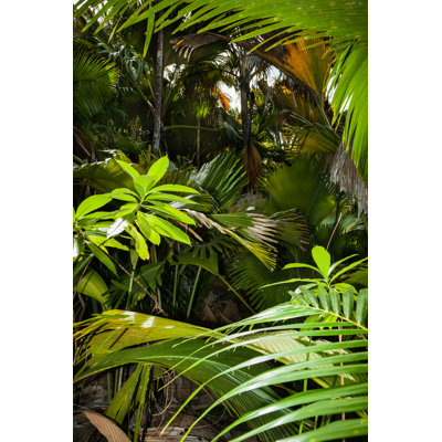 " In The Jungle " by Lightstock