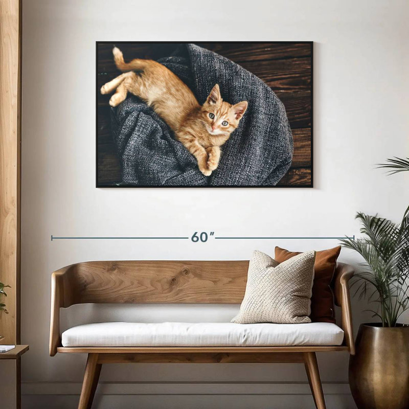 Chat au repos, 43 po x 29 po, Cadre flottant noir