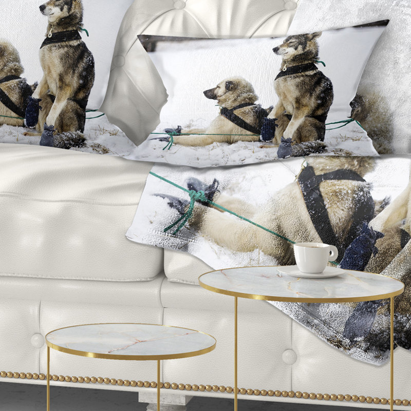 Coussin lombaire à grand chariot pour animaux