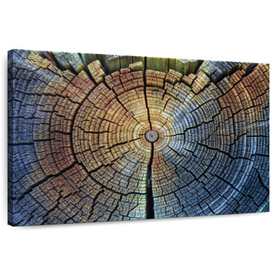 Motif de tronc d'arbre Harnek