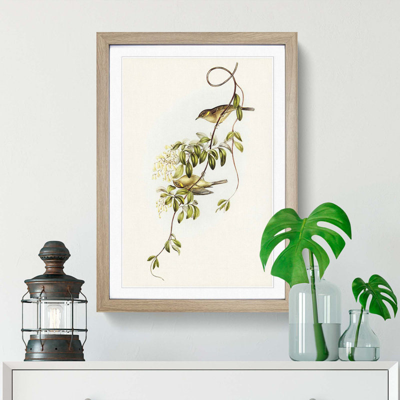 Fuscous Honeyeater Birds by Elizabeth Gould - Picture Frame Painting Print, 48cm H x 36cm W x 2cm D, Oak Framed