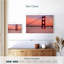Lilie Dusky Golden Gate Bridge-107853641