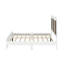 Lit plateforme en bois Farmhouse Modern-546427870-546427841
