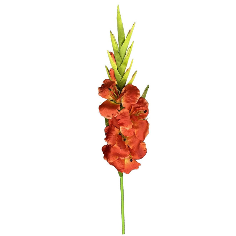 Aneris Arrangement