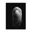 Art sur toile Stuart Williams-105651963