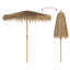 Beach Parasol