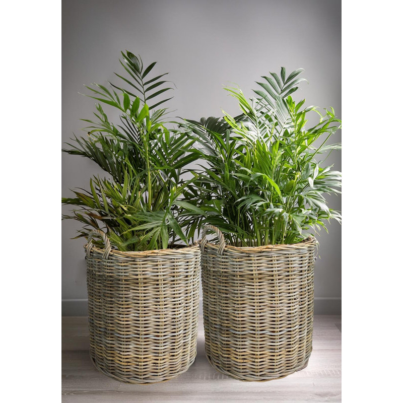 Rattan Round Baskets