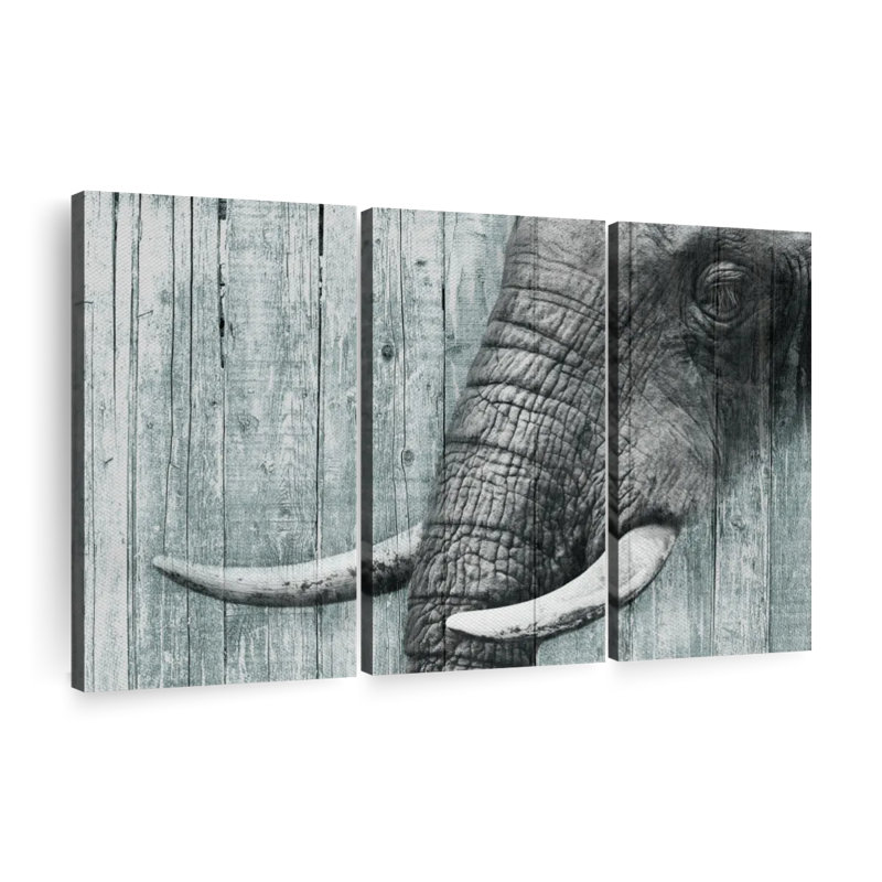 «Éléphant sur bois texturé» sur toile, H 32 po x l 50 po x P 1,25 po