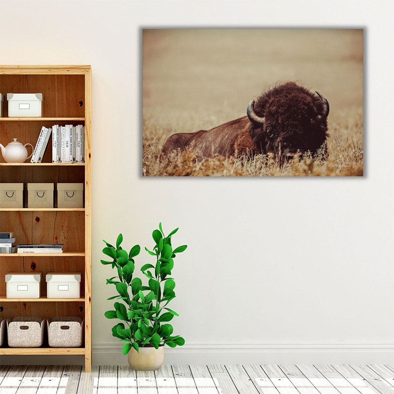 «Tall Grass Bison II», reproduction d'art sur toile, H 20 po x l 30 po