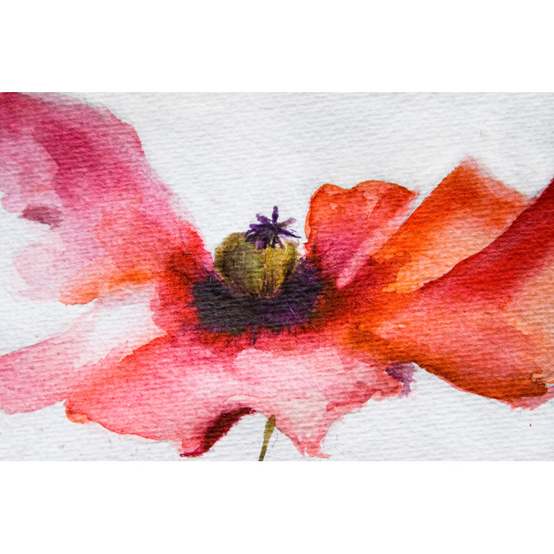 Valinda Watercolour Poppy Flower - Wrapped Canvas Painting, 30cm H x 46cm W x 3.8cm D