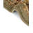 Niles Oriental Area Rug-1344006249-1445867359