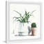 «Pots Green Plants», reproduction encadrée-106444459