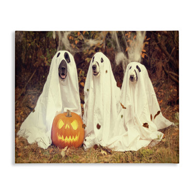 " Vintage Photography Halloween Pumpkin And Ghost Dogs " by Daphne Polselli