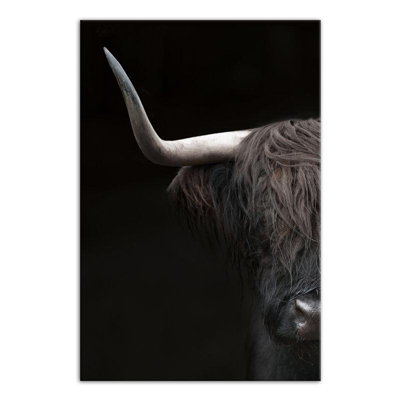 Impression sur toile Highland Majesty, H 30 po x l 20 po