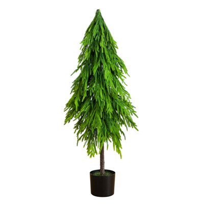 5' Pine Tree