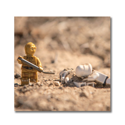 Those Were The Droids! Print
