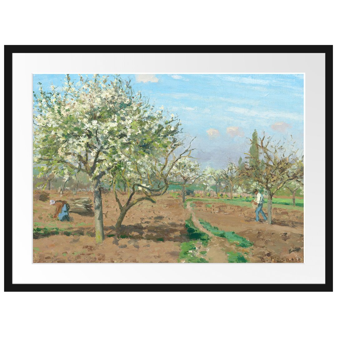 Gerahmter Kunstdruck Orchard in Blossom Louveciennes von Camille Pissarro