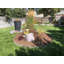 Bordure de jardin-48898364-48898362