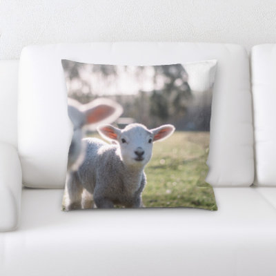 Microsuede Throw Pillow