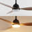 Clarra 52'' Ceiling Fan with LED Lights-1890635353