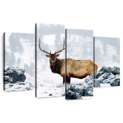 Brampt Wyoming Wapiti