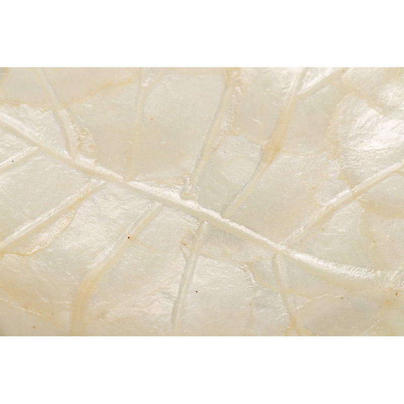 Capiz Rect. Dish 32,5x27x4 Cm, White