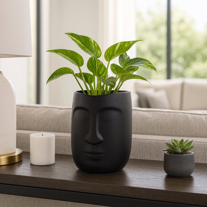Vase de table en céramique Amyanne, Noir, H 8 po x l 6 po x P 6 po
