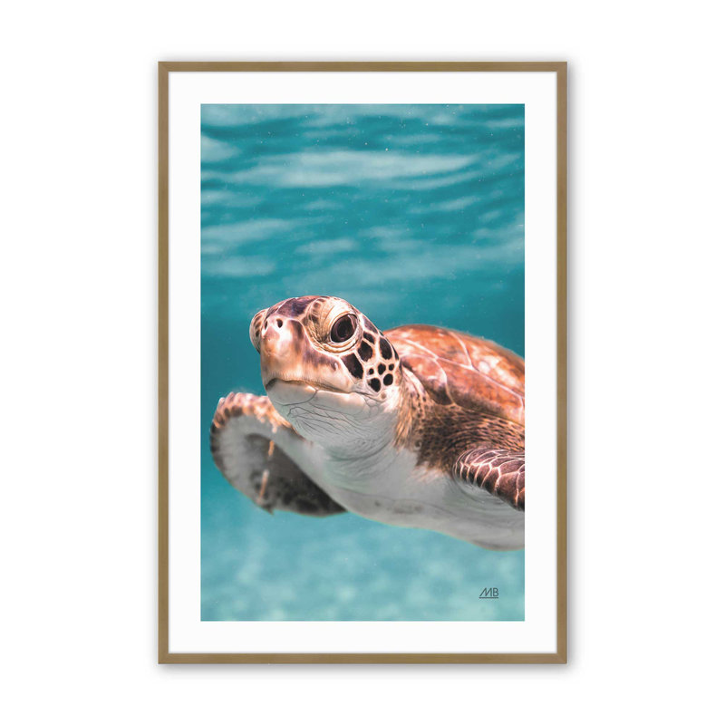 Imprimé Sea Turtle's Path II, H 17,25 po x l 13,25 po, Cadre doré brossé