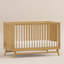 Peggy 3-in-1 Convertible Crib-656142313