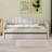 Daybed with Trundle, Velvet Sofabed Design and Built-in USB Charging Ports-129032692