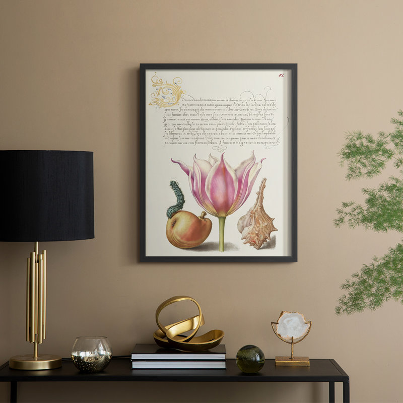Hoefnagel Tropical Specimens IV Framed Print - Solid Wood, Black, 15" H x 12" W